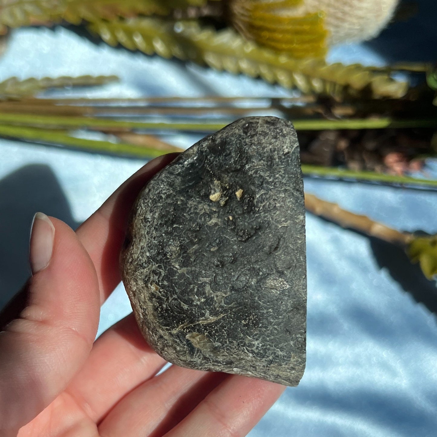 Montana Agate With Druzy, Polished End Half, Locally Sourced, Lapidary Rough 4.6 oz, 131g