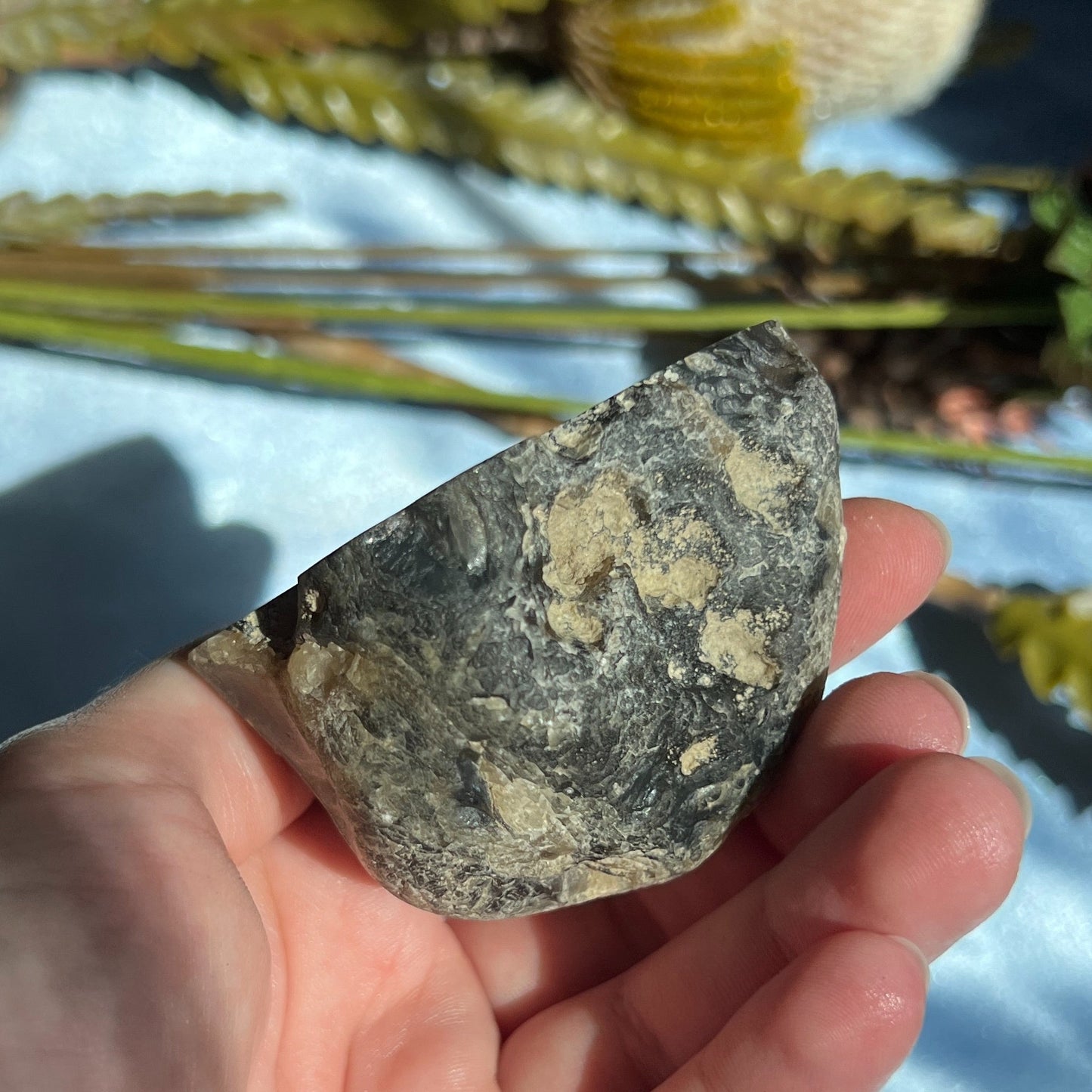 Montana Agate With Druzy, Polished End Half, Locally Sourced, Lapidary Rough 4.6 oz, 131g