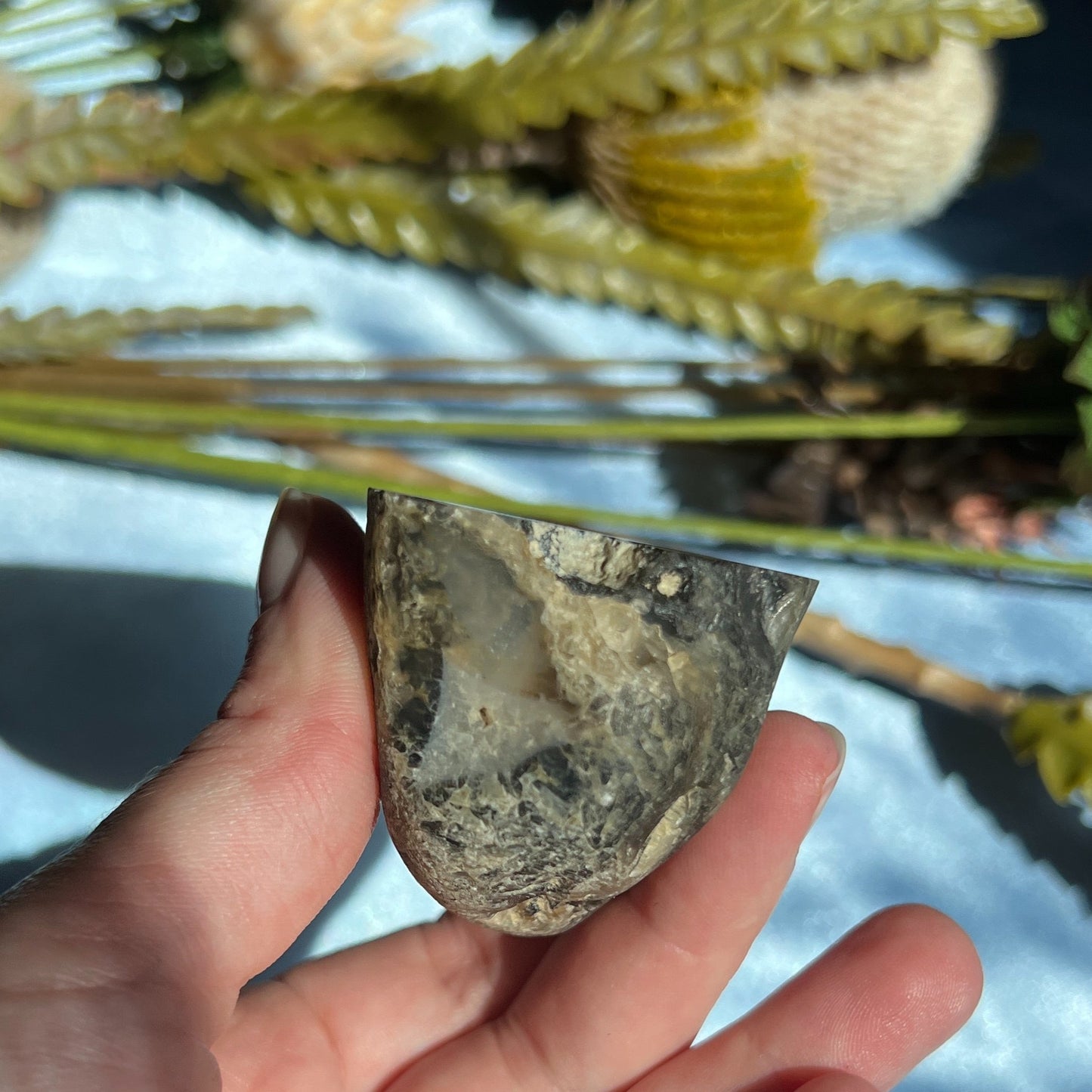 Montana Agate With Druzy, Polished End Half, Locally Sourced, Lapidary Rough 4.6 oz, 131g