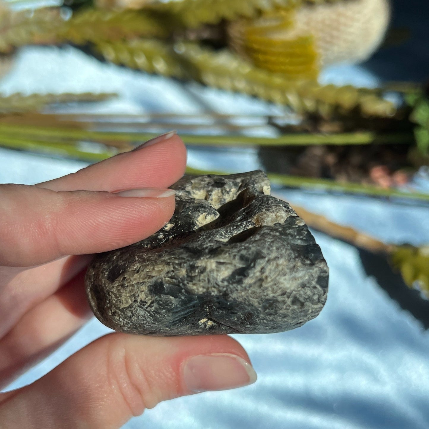 Montana Agate With Druzy, Polished End Half, Locally Sourced, Lapidary Rough 4.6 oz, 131g