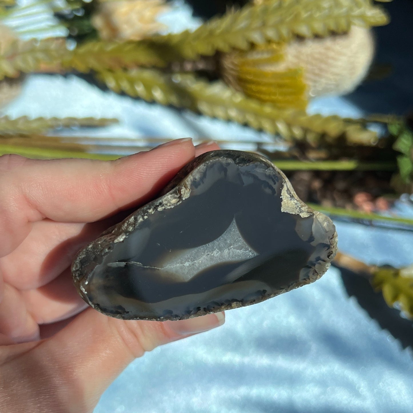 Montana Agate With Druzy, Polished End Half, Locally Sourced, Lapidary Rough 4.6 oz, 131g