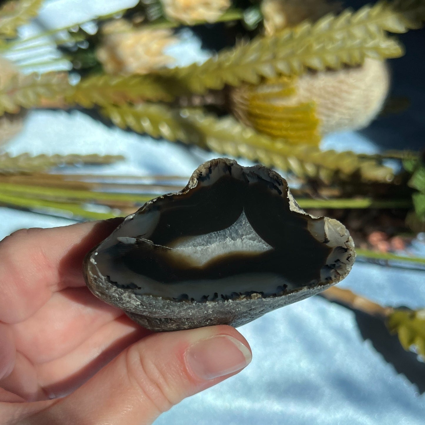 Montana Agate With Druzy, Polished End Half, Locally Sourced, Lapidary Rough 4.6 oz, 131g