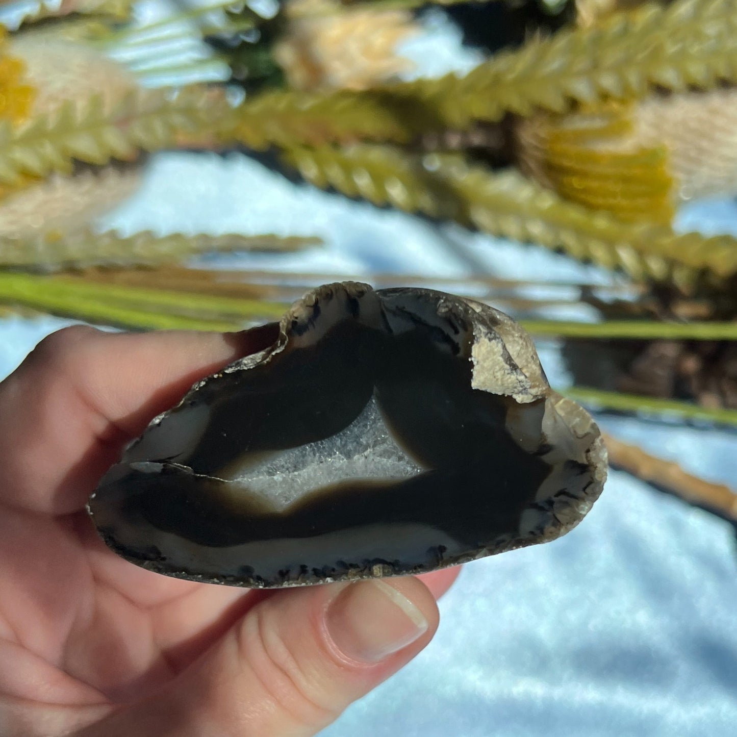 Montana Agate With Druzy, Polished End Half, Locally Sourced, Lapidary Rough 4.6 oz, 131g