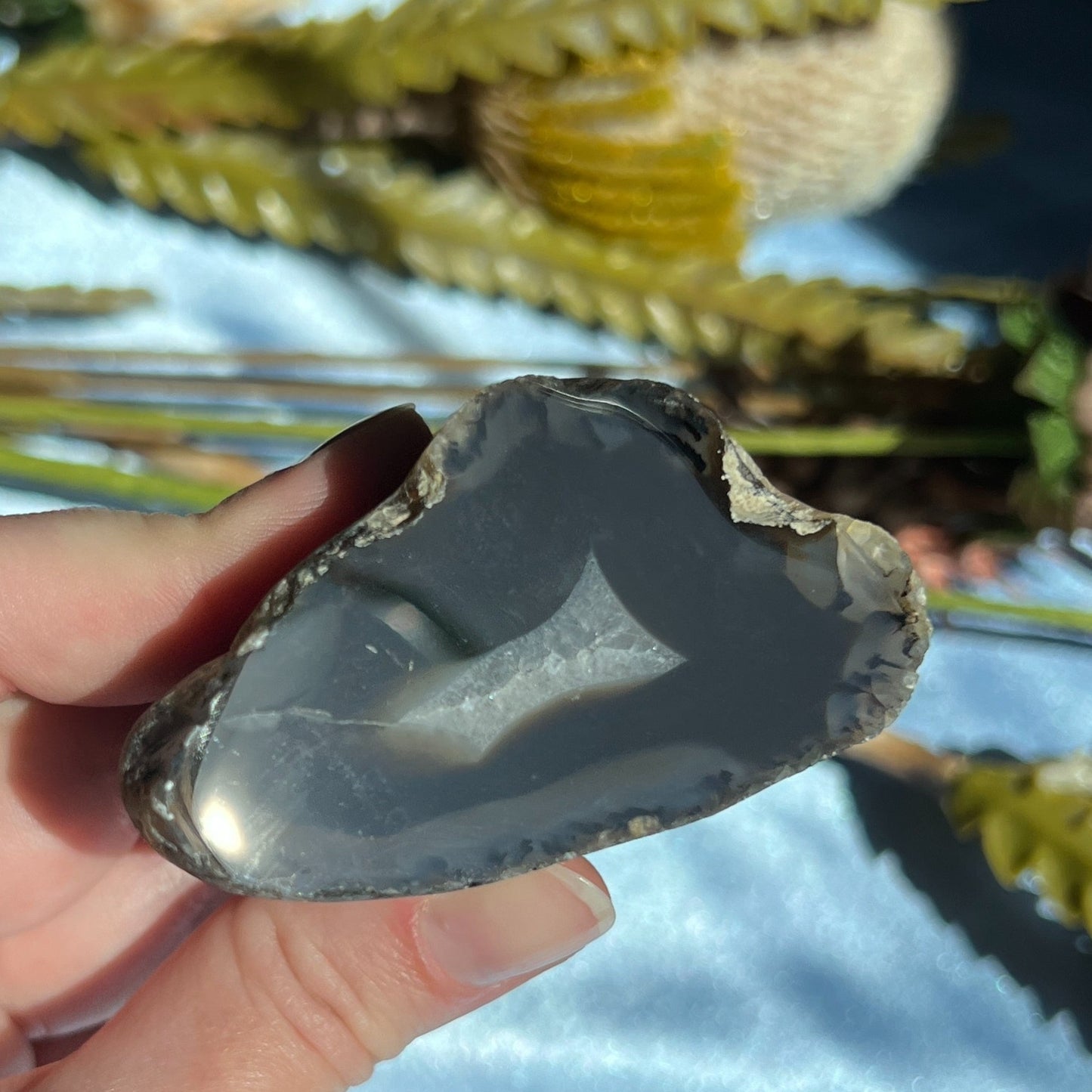 Montana Agate With Druzy, Polished End Half, Locally Sourced, Lapidary Rough 4.6 oz, 131g