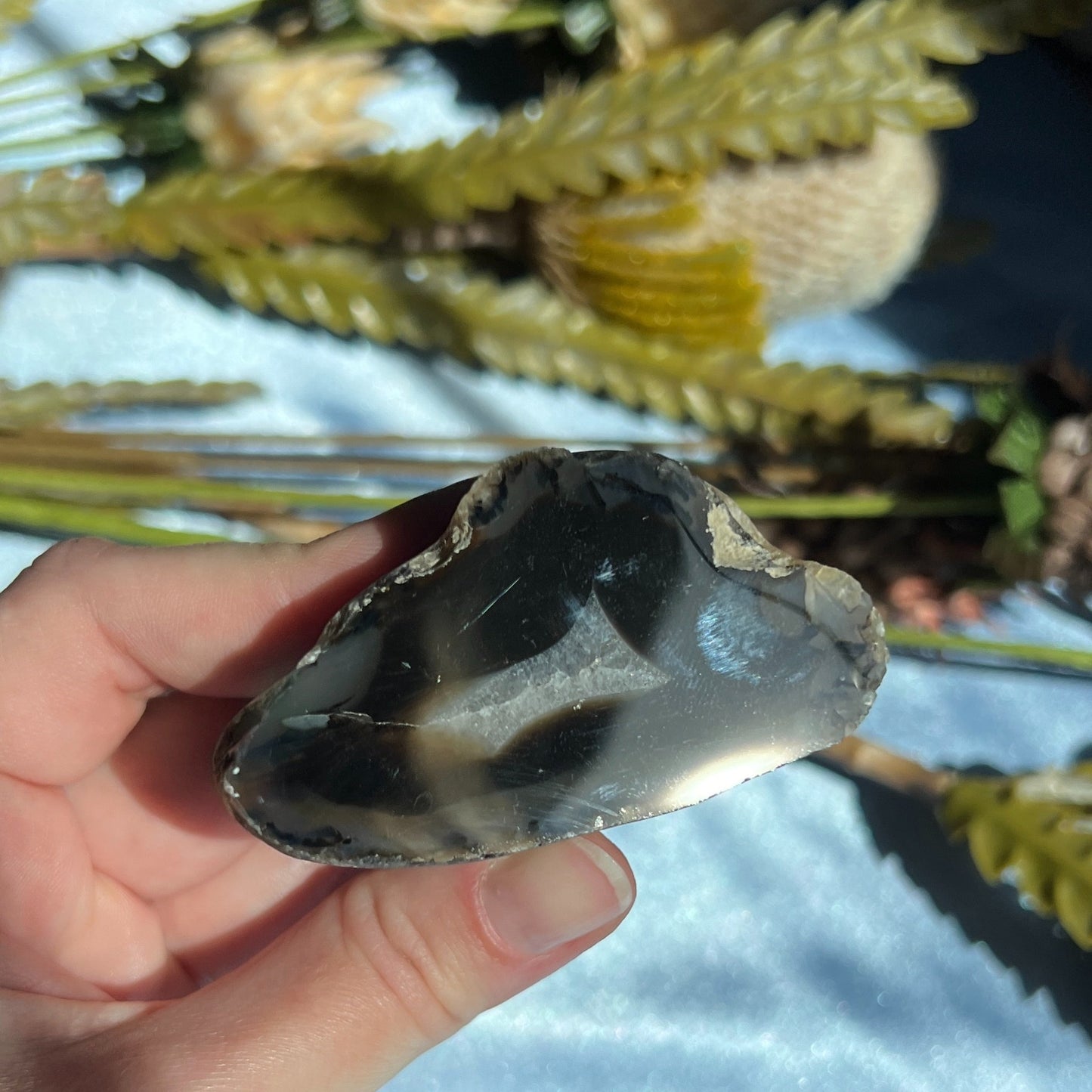 Montana Agate With Druzy, Polished End Half, Locally Sourced, Lapidary Rough 4.6 oz, 131g