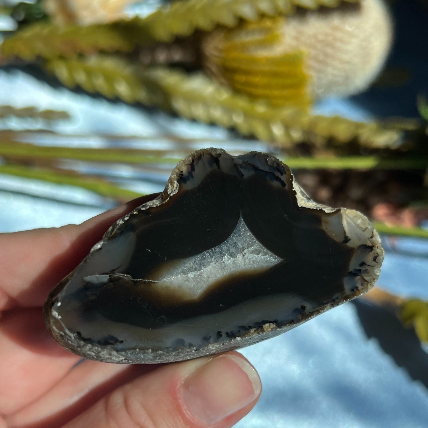 Montana Agate With Druzy, Polished End Half, Locally Sourced, Lapidary Rough 4.6 oz, 131g