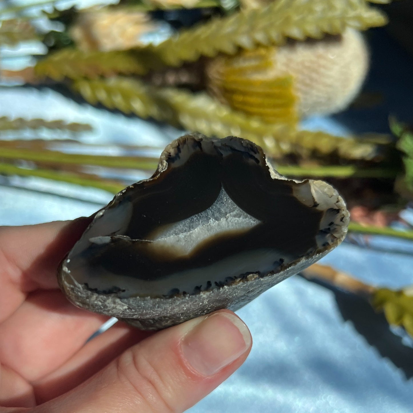 Montana Agate With Druzy, Polished End Half, Locally Sourced, Lapidary Rough 4.6 oz, 131g