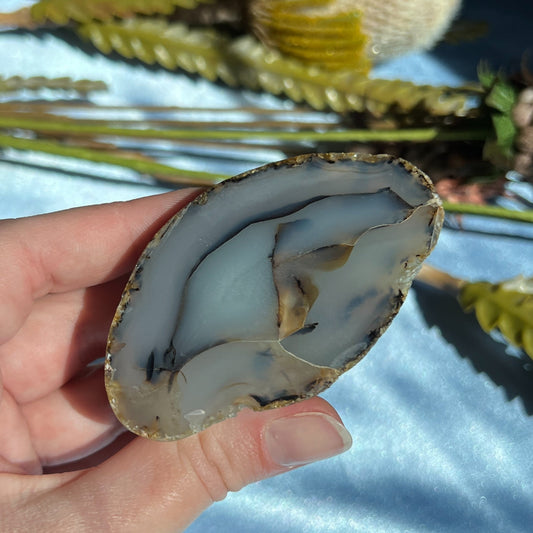 Montana Agate, Polished End Half, Locally Sourced, Lapidary Rough 4.85 oz, 138g