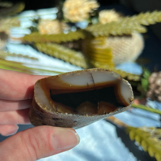 Montana Agate, Polished End Half, Locally Sourced, Lapidary Rough 4.75 oz, 135g