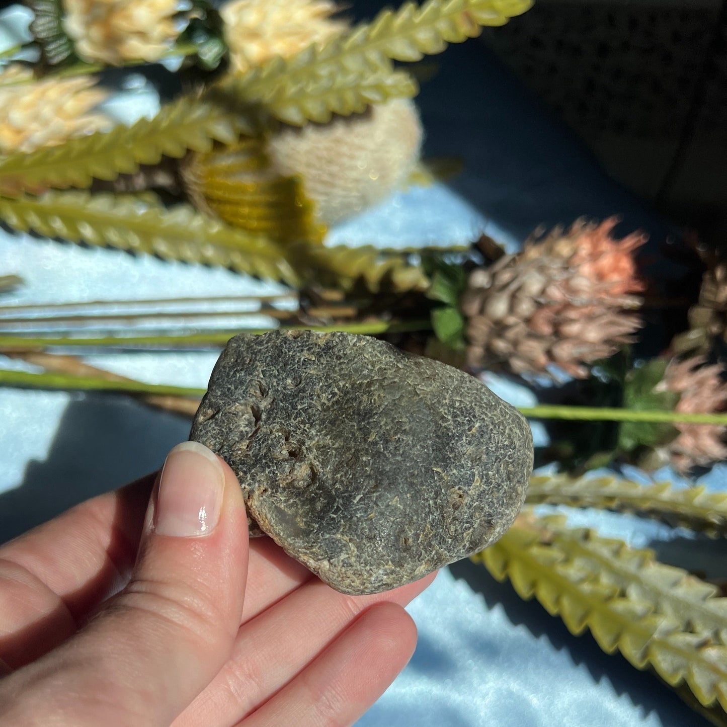 Montana Agate With Druzy, Polished End Half, Locally Sourced, Lapidary Rough 4.45 oz, 126g