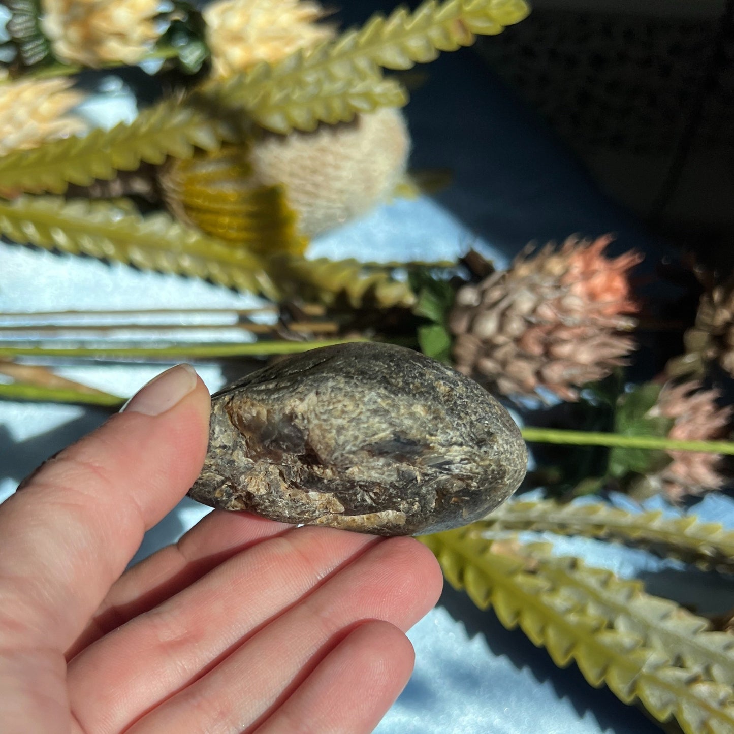 Montana Agate With Druzy, Polished End Half, Locally Sourced, Lapidary Rough 4.45 oz, 126g