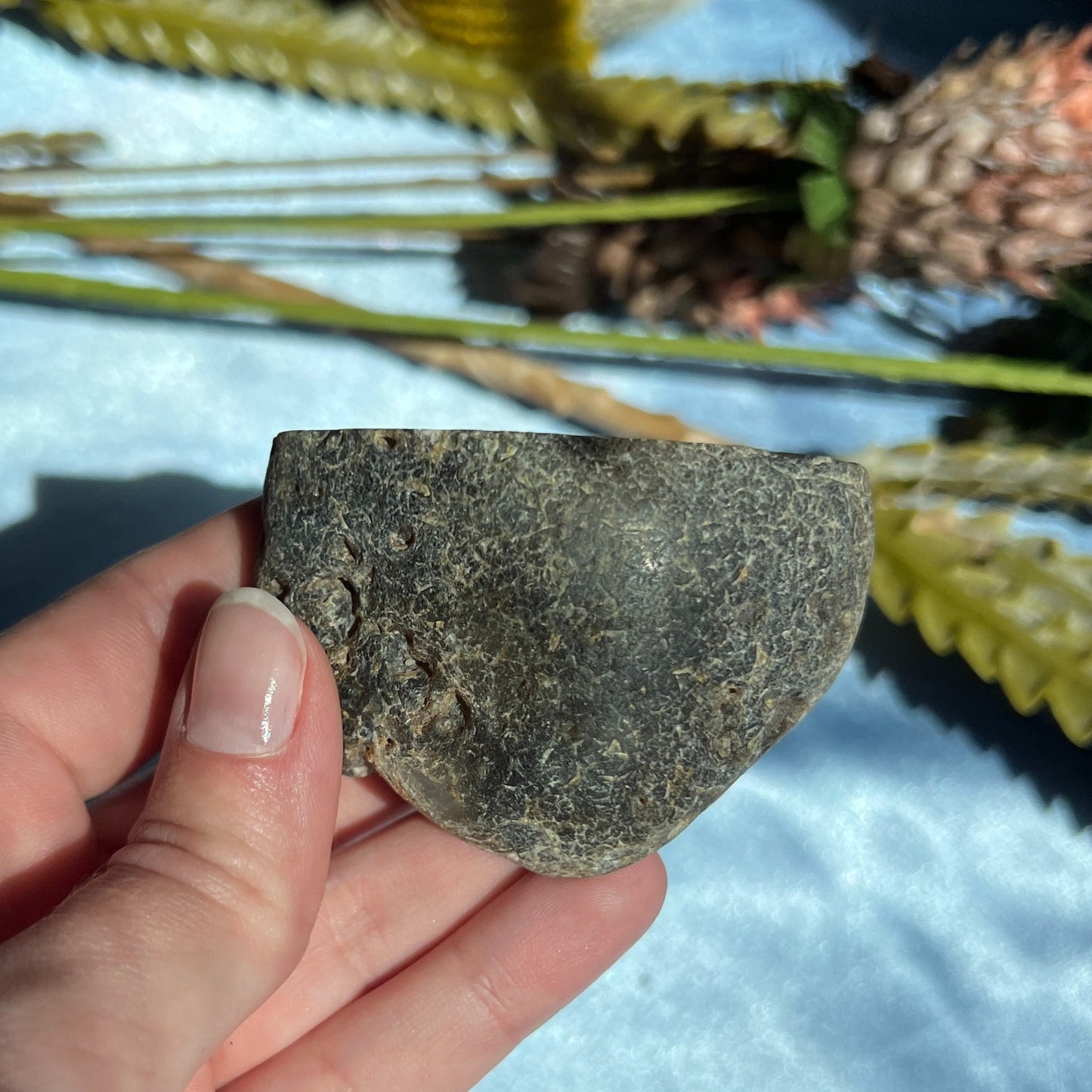 Montana Agate With Druzy, Polished End Half, Locally Sourced, Lapidary Rough 4.45 oz, 126g