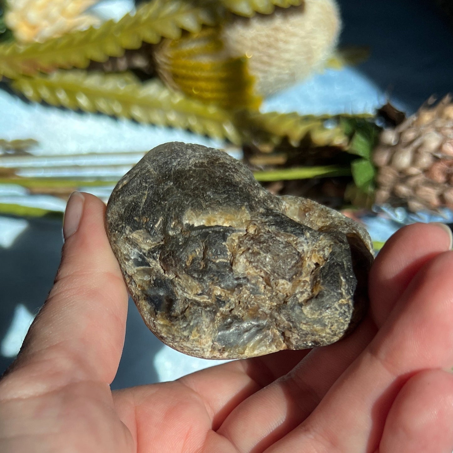 Montana Agate With Druzy, Polished End Half, Locally Sourced, Lapidary Rough 4.45 oz, 126g