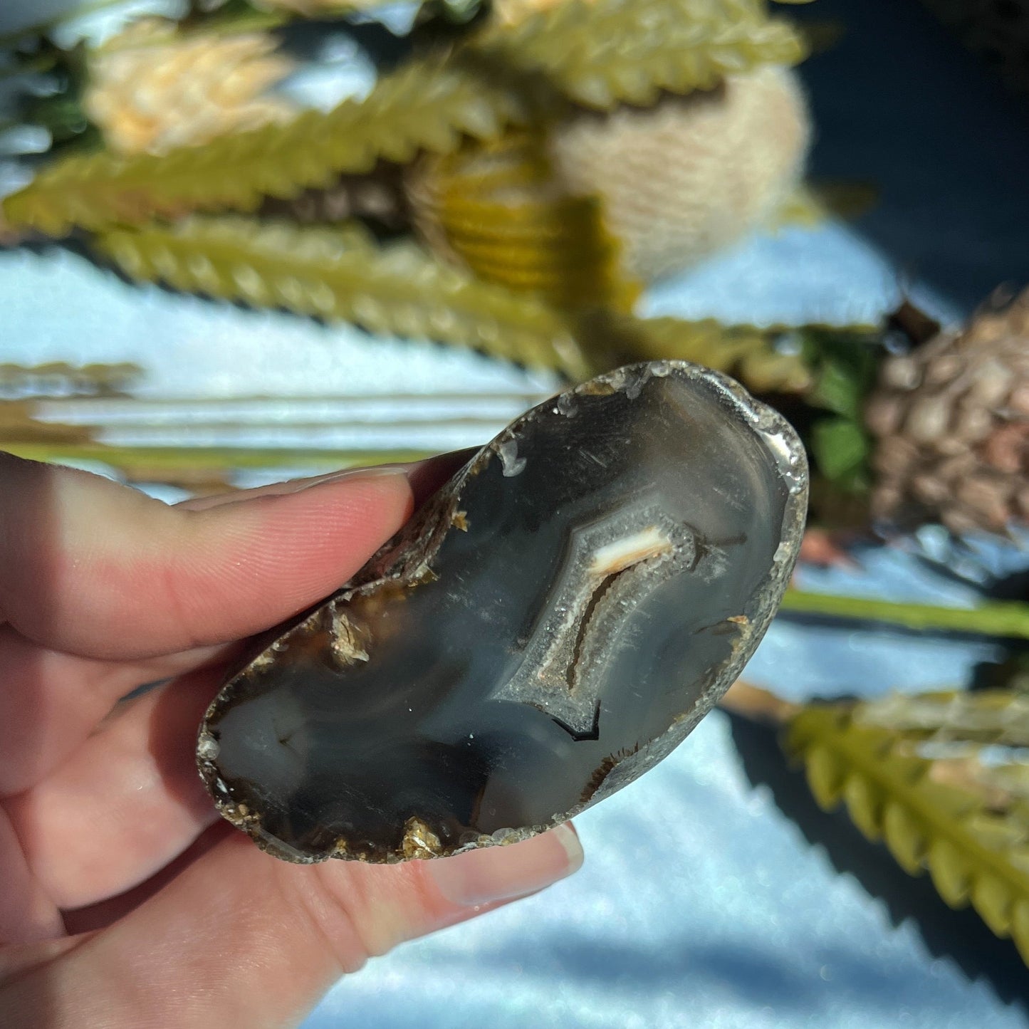 Montana Agate With Druzy, Polished End Half, Locally Sourced, Lapidary Rough 4.45 oz, 126g