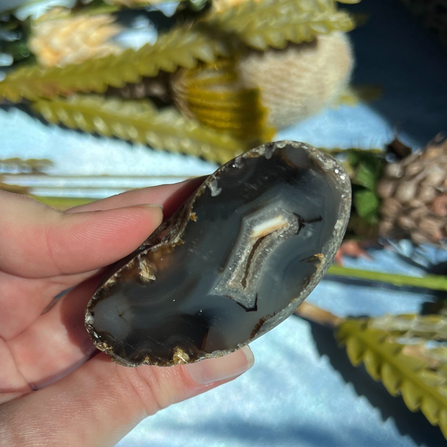 Montana Agate With Druzy, Polished End Half, Locally Sourced, Lapidary Rough 4.45 oz, 126g