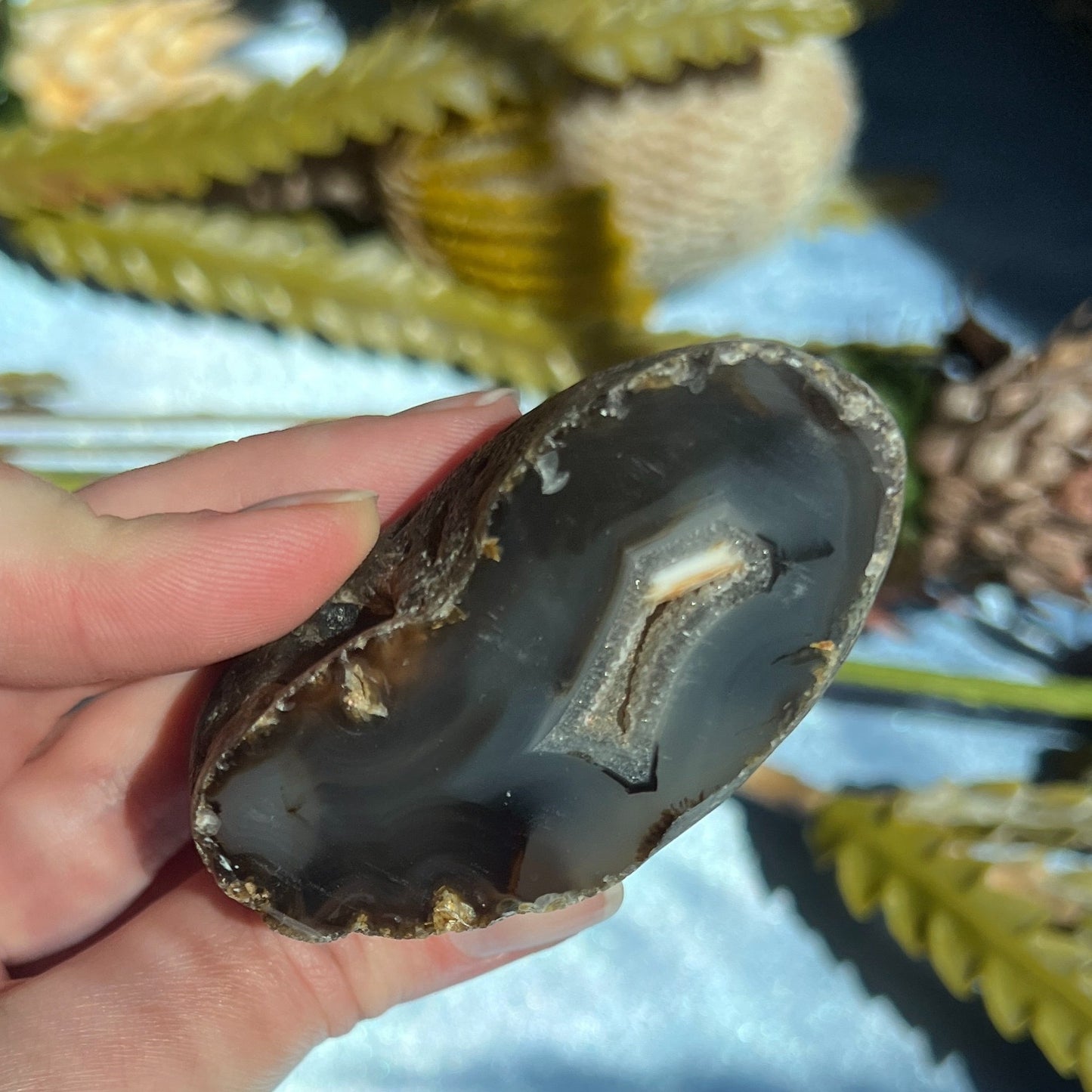 Montana Agate With Druzy, Polished End Half, Locally Sourced, Lapidary Rough 4.45 oz, 126g