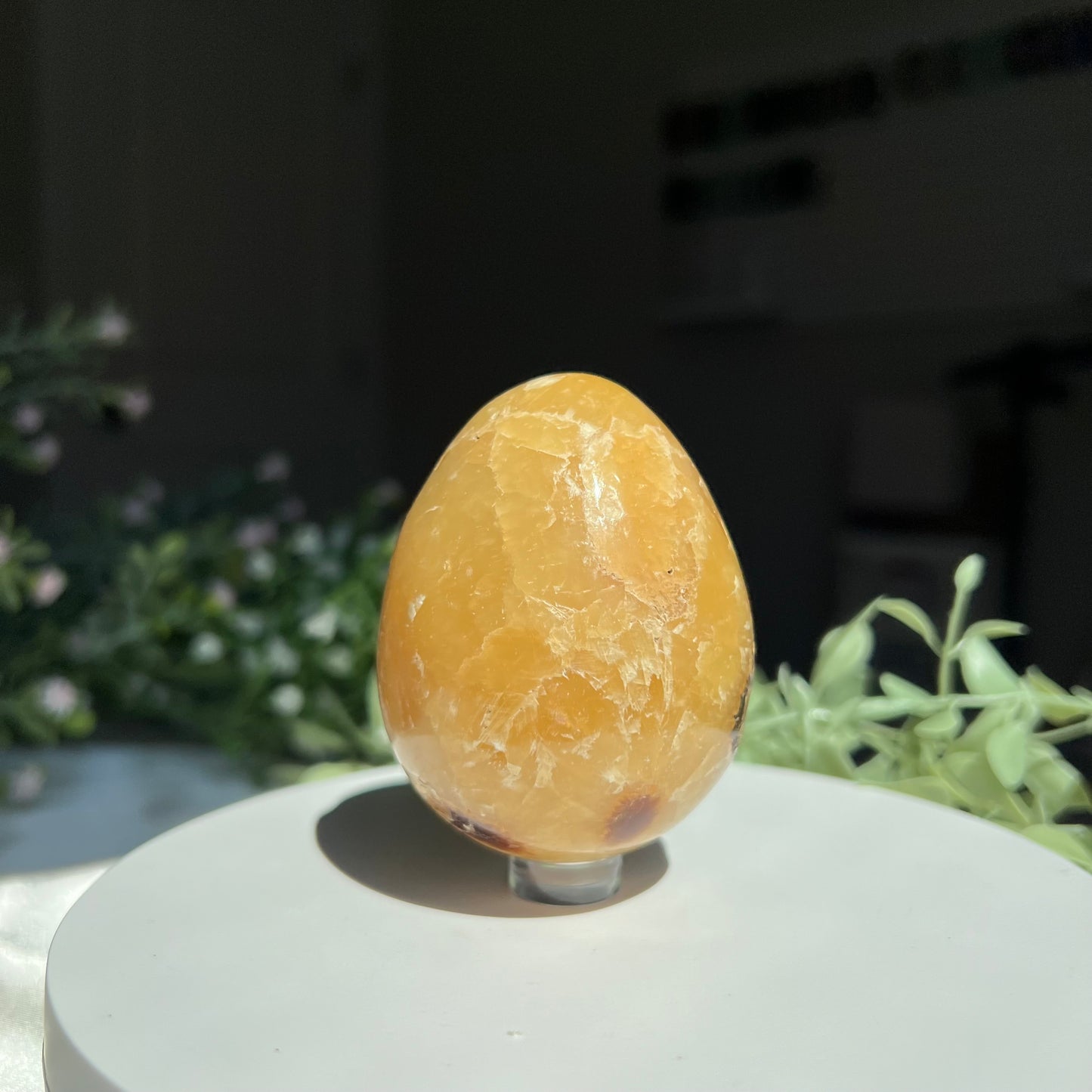 Septarian Egg Carving