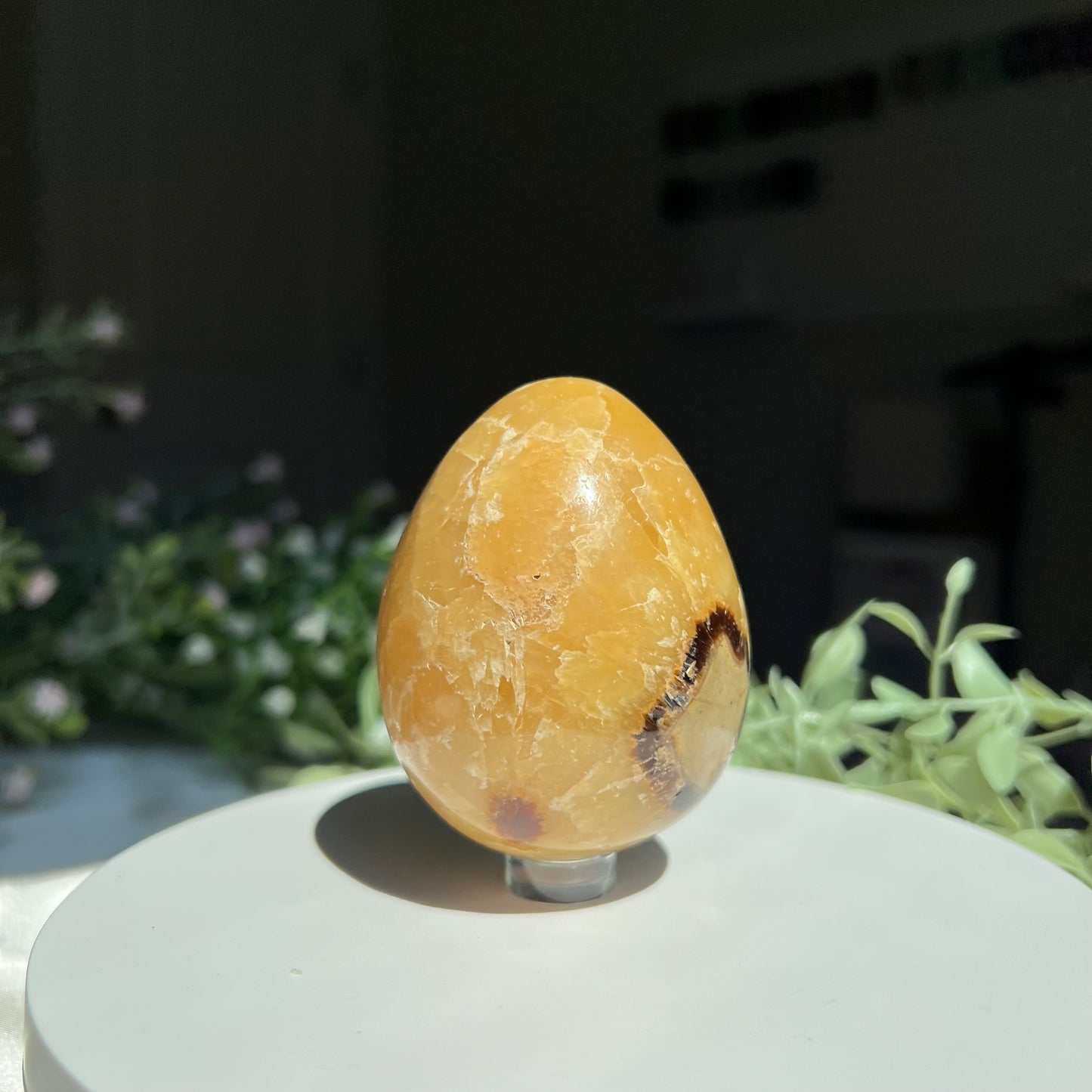 Septarian Egg Carving