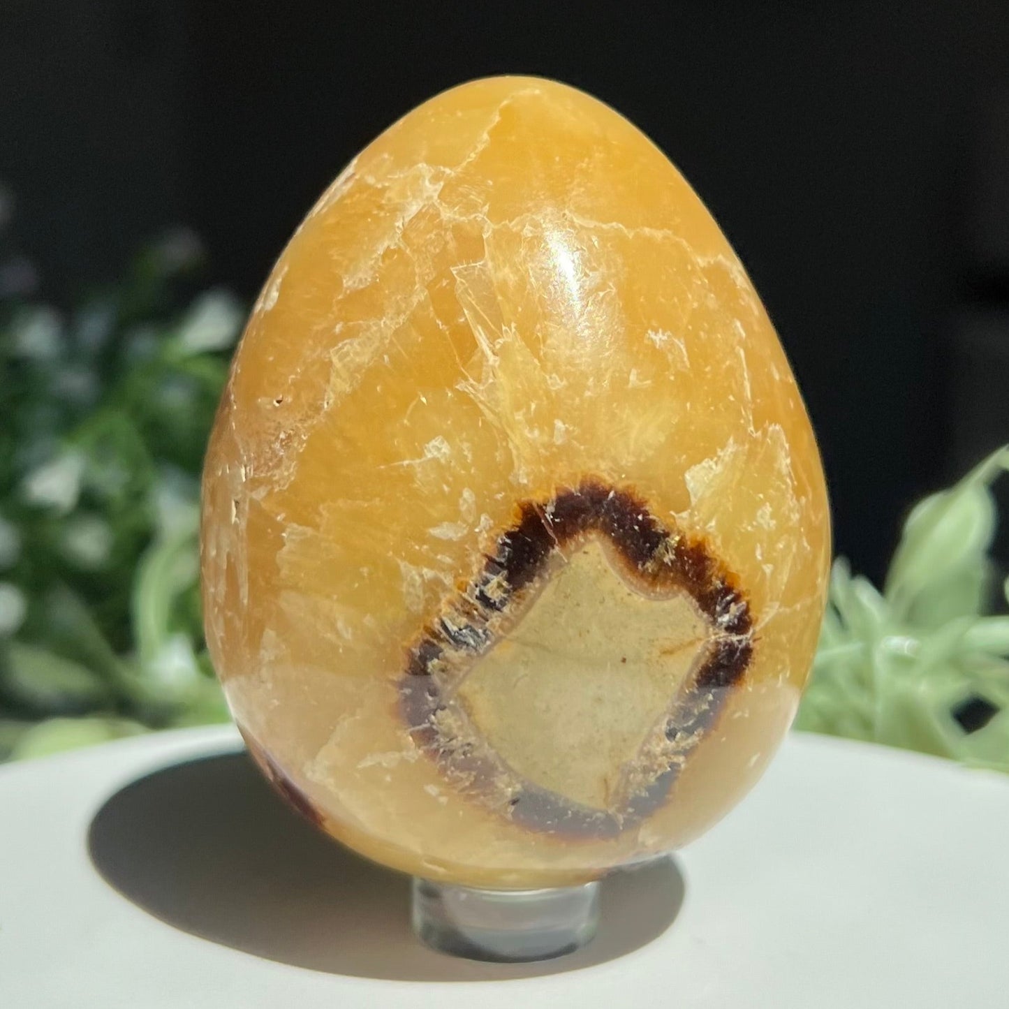 Septarian Egg Carving