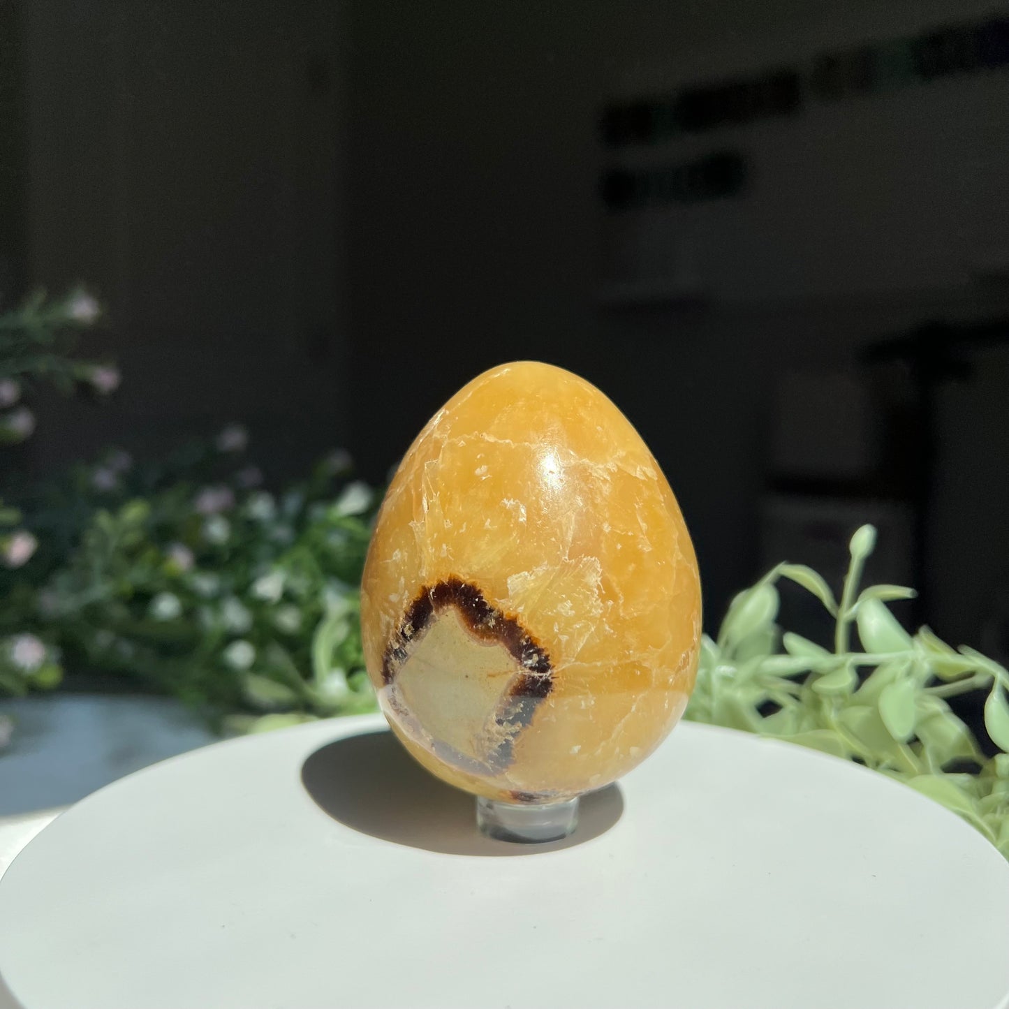 Septarian Egg Carving