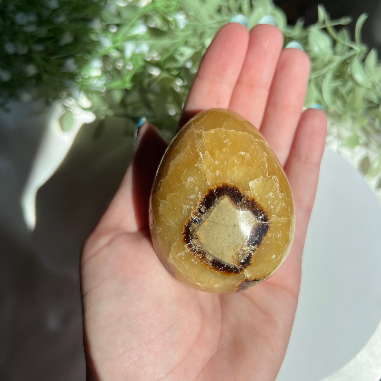 Septarian Egg Carving