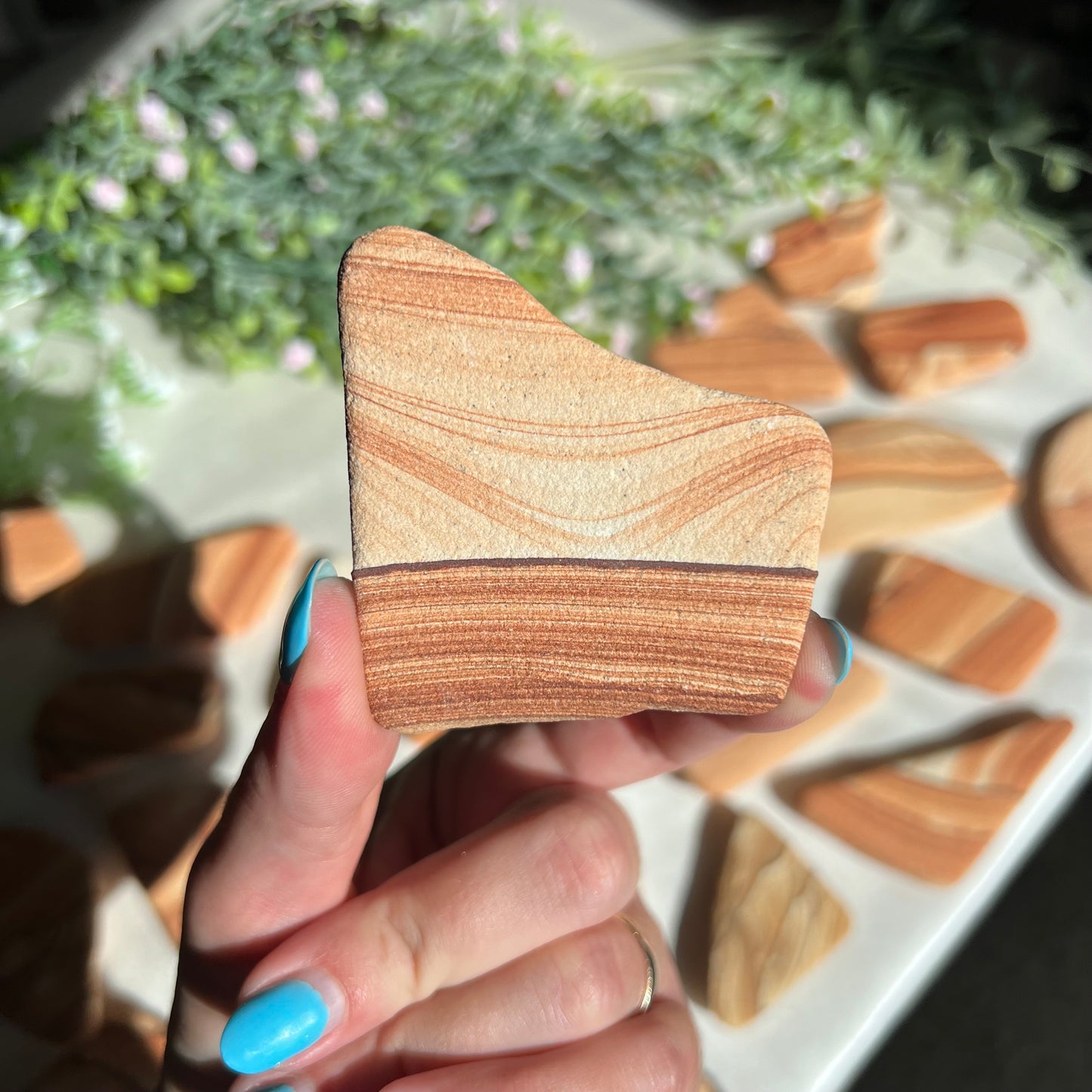 Sandstone Arizona Sierra Magnet from Utah and Arizona Border