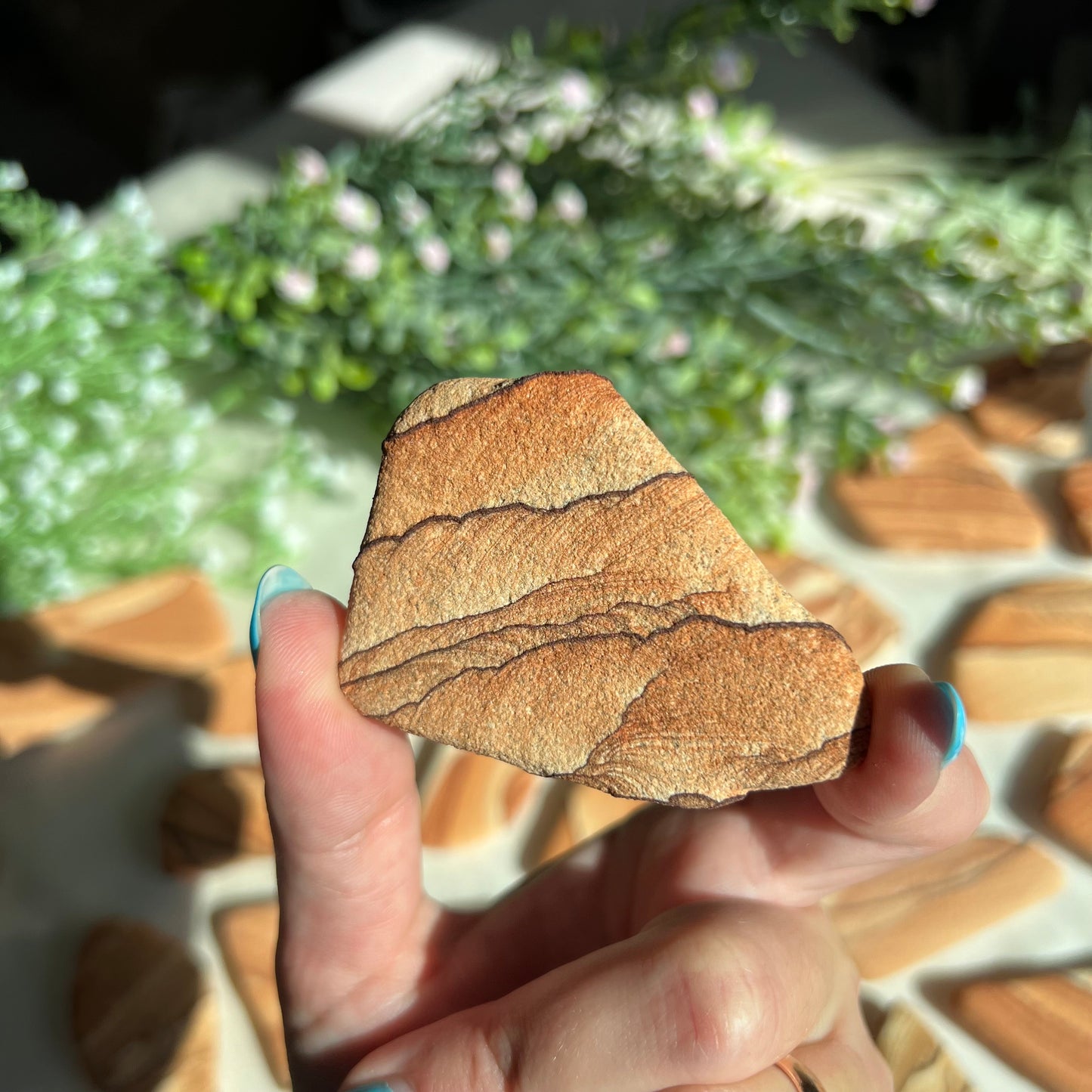 Sandstone Arizona Sierra Magnet from Utah and Arizona Border