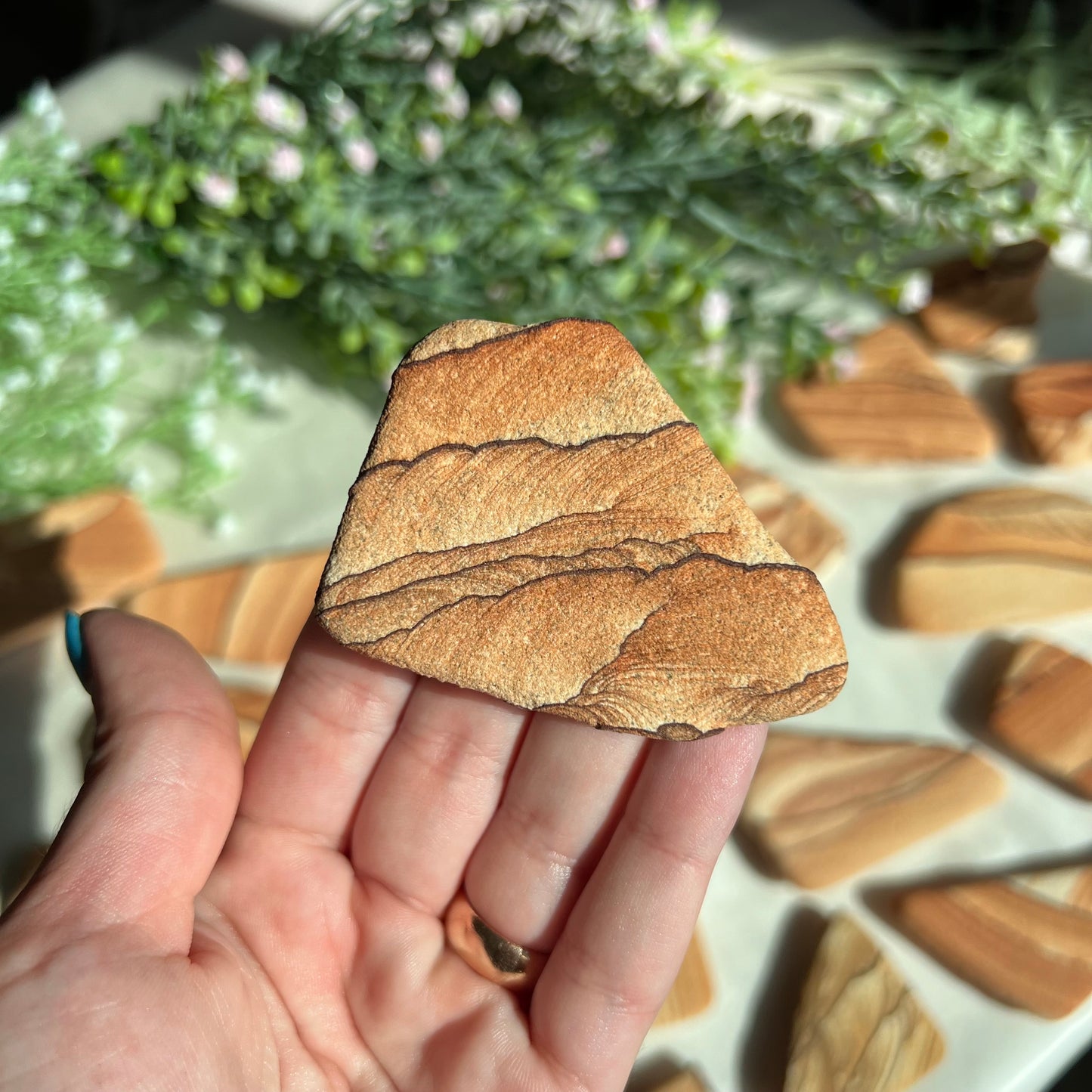 Sandstone Arizona Sierra Magnet from Utah and Arizona Border