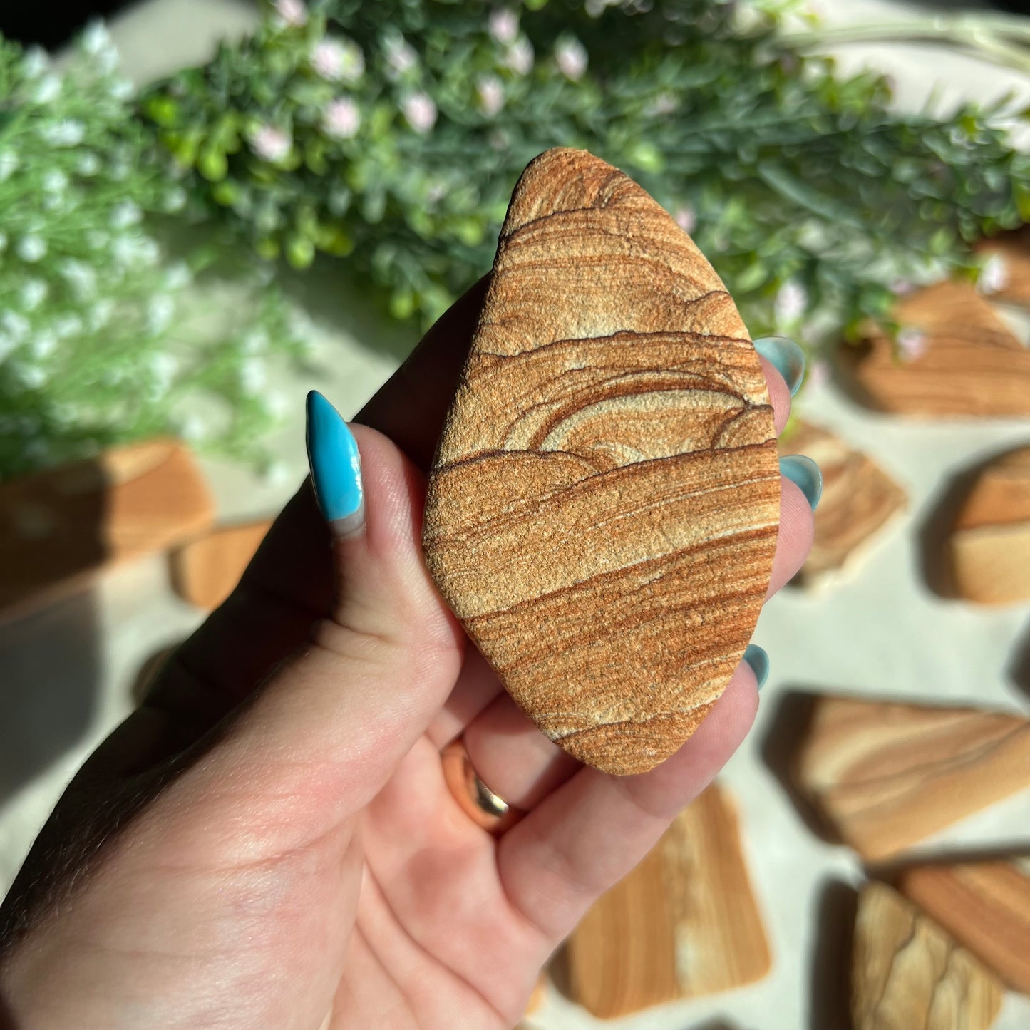 Sandstone Arizona Sierra Magnet from Utah and Arizona Border