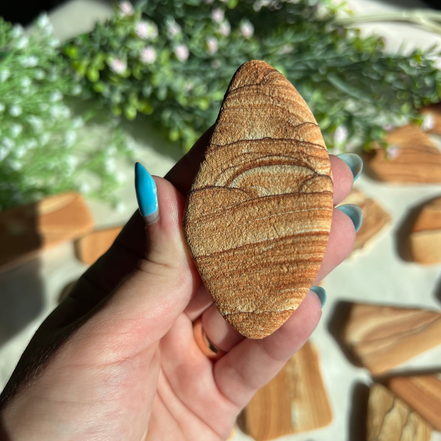 Sandstone Arizona Sierra Magnet from Utah and Arizona Border