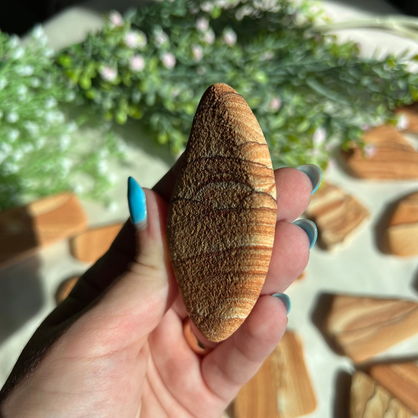 Sandstone Arizona Sierra Magnet from Utah and Arizona Border