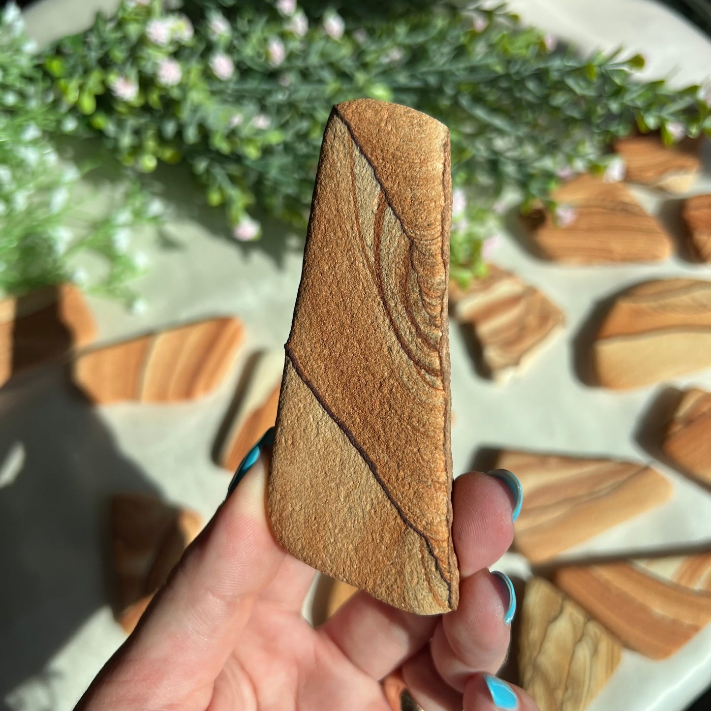 Sandstone Arizona Sierra Magnet from Utah and Arizona Border