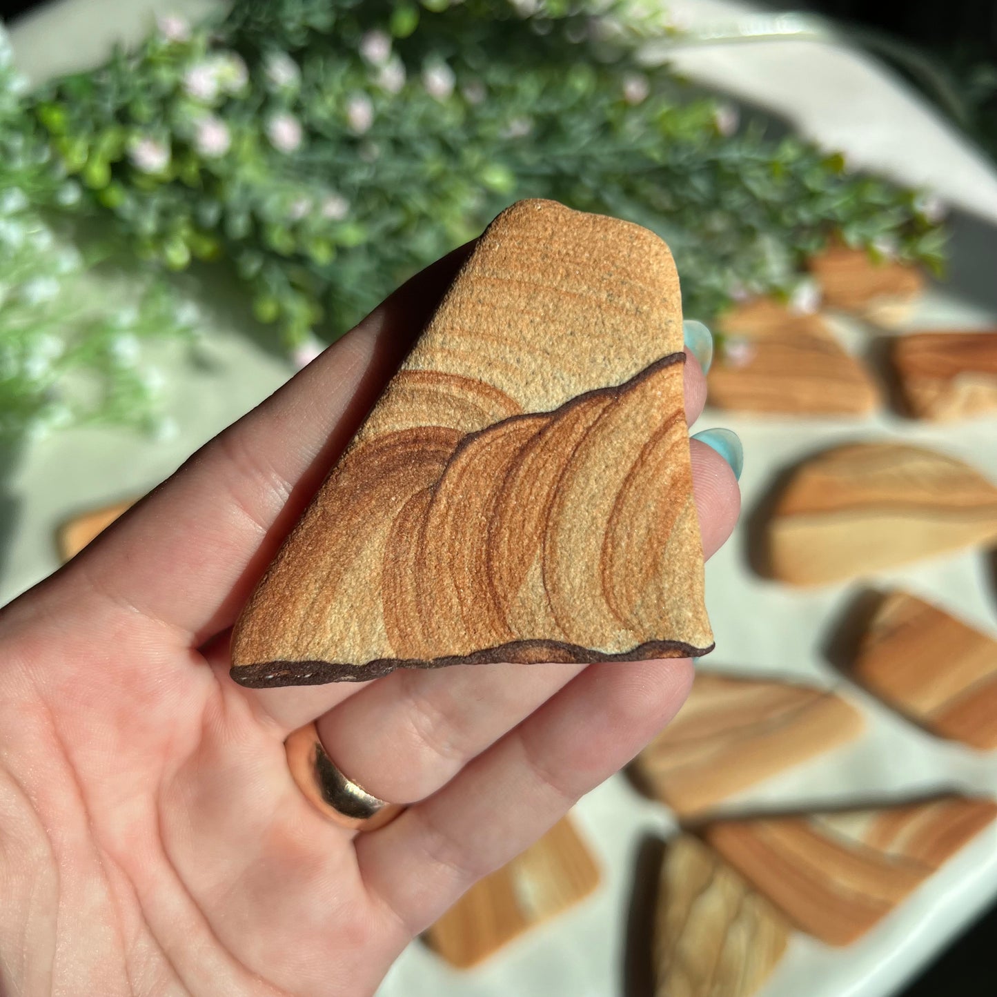 Sandstone Arizona Sierra Magnet from Utah and Arizona Border