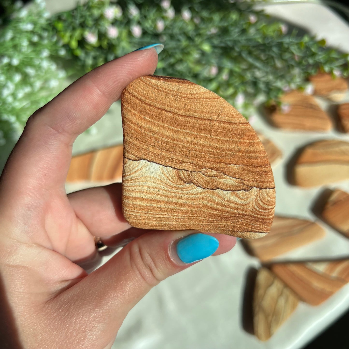 Sandstone Arizona Sierra Magnet from Utah and Arizona Border