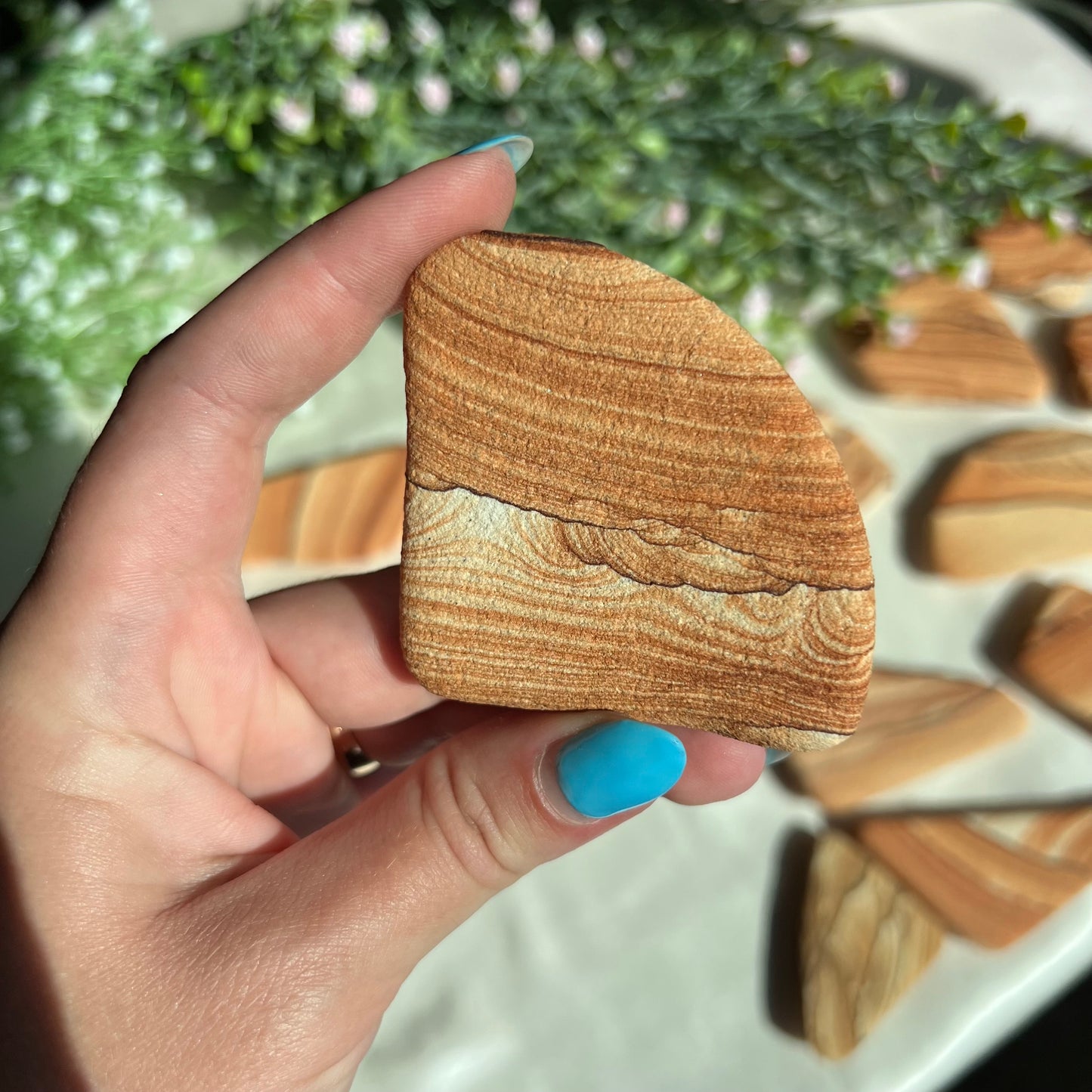 Sandstone Arizona Sierra Magnet from Utah and Arizona Border