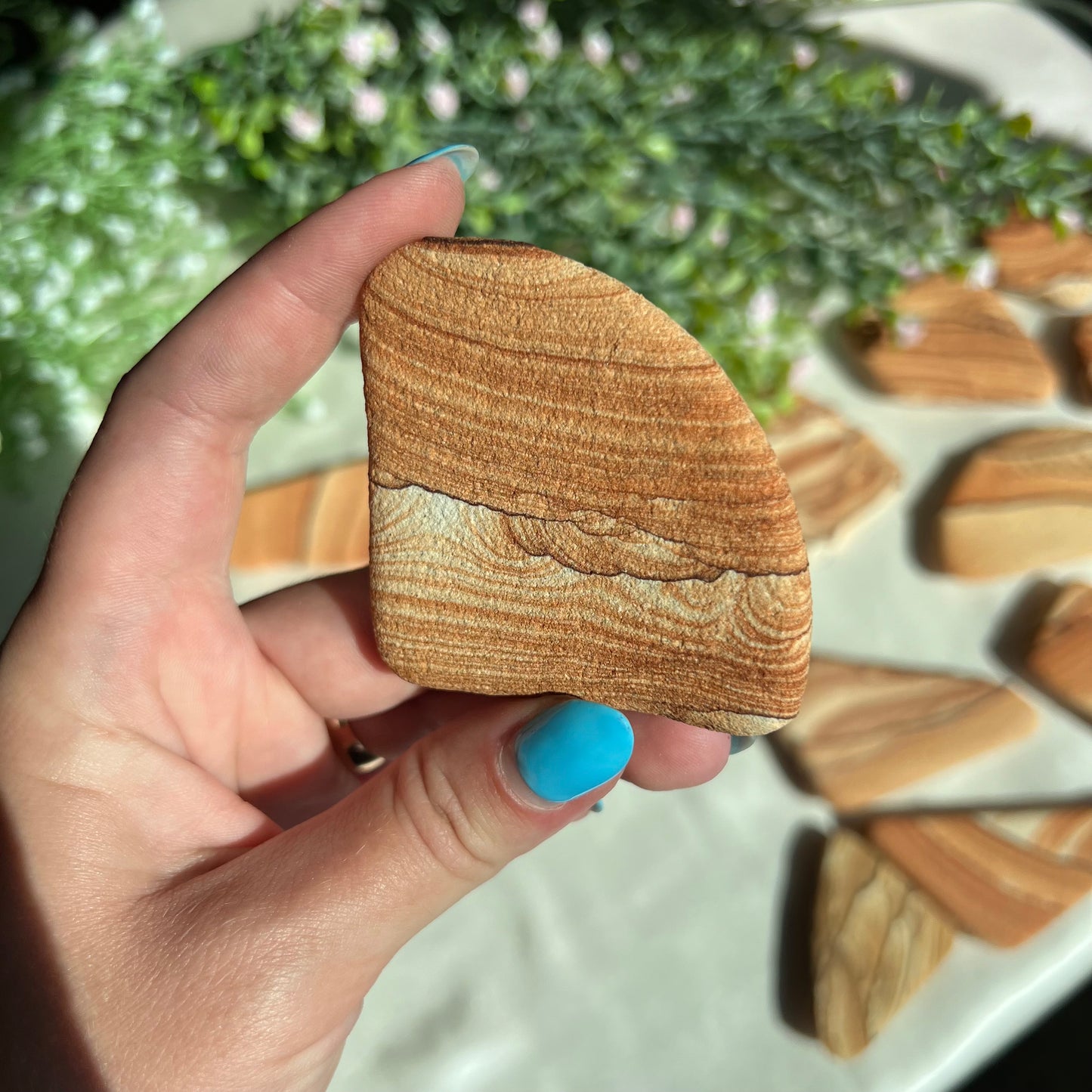 Sandstone Arizona Sierra Magnet from Utah and Arizona Border