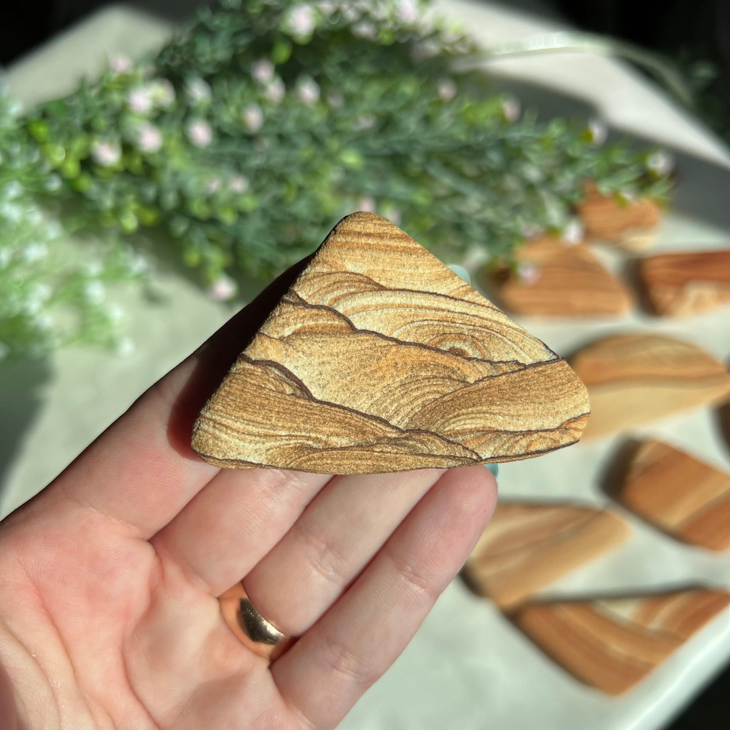 Sandstone Arizona Sierra Magnet from Utah and Arizona Border