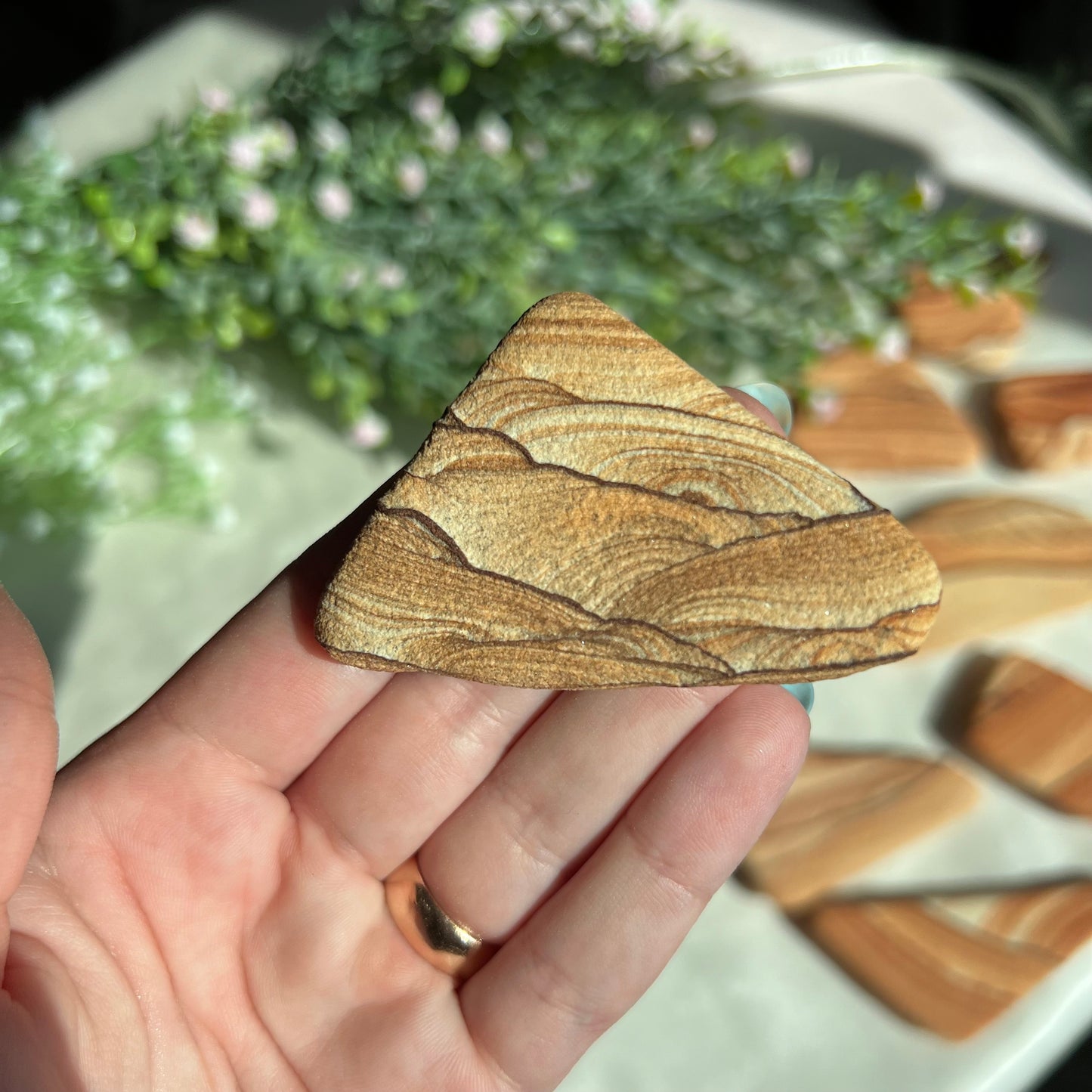 Sandstone Arizona Sierra Magnet from Utah and Arizona Border