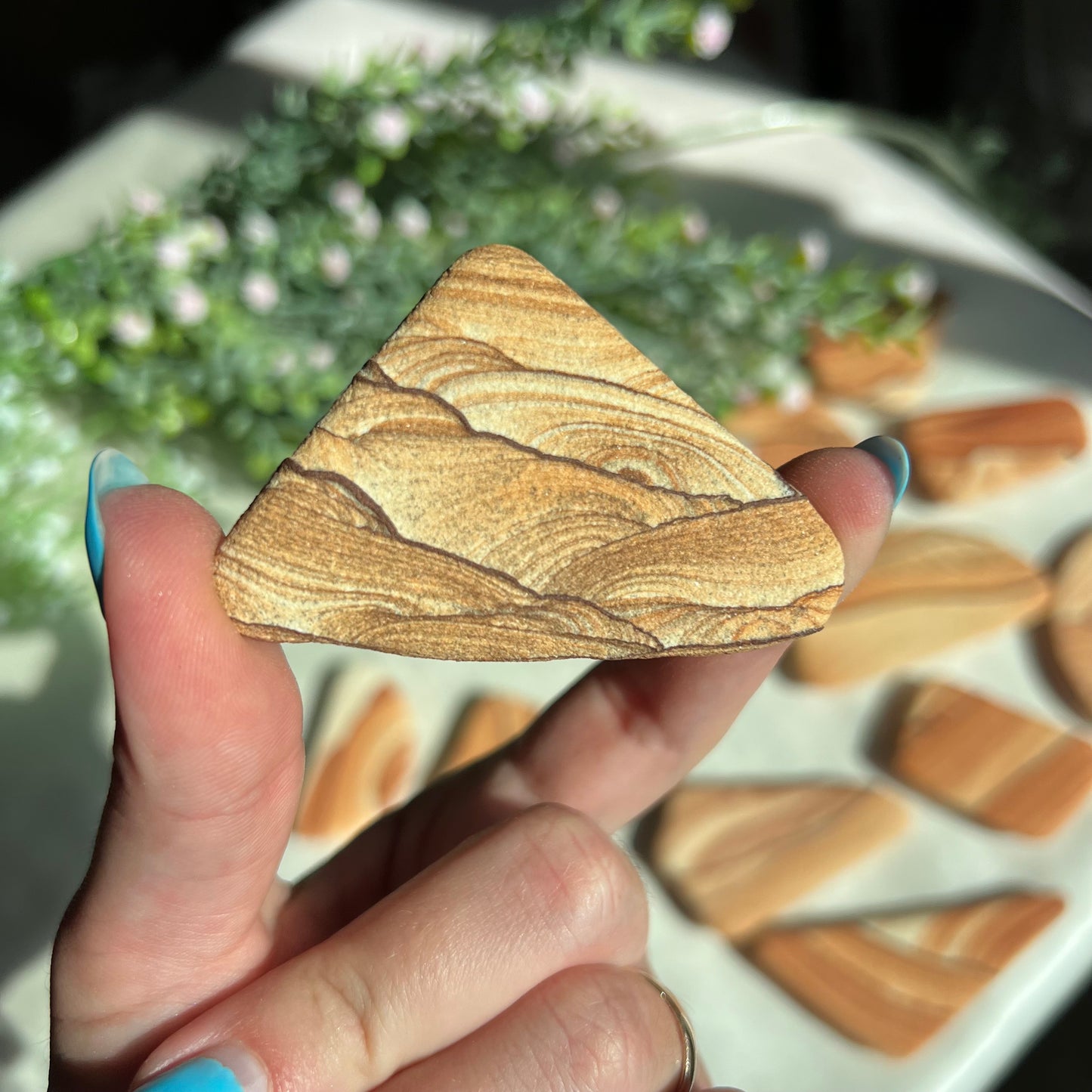 Sandstone Arizona Sierra Magnet from Utah and Arizona Border