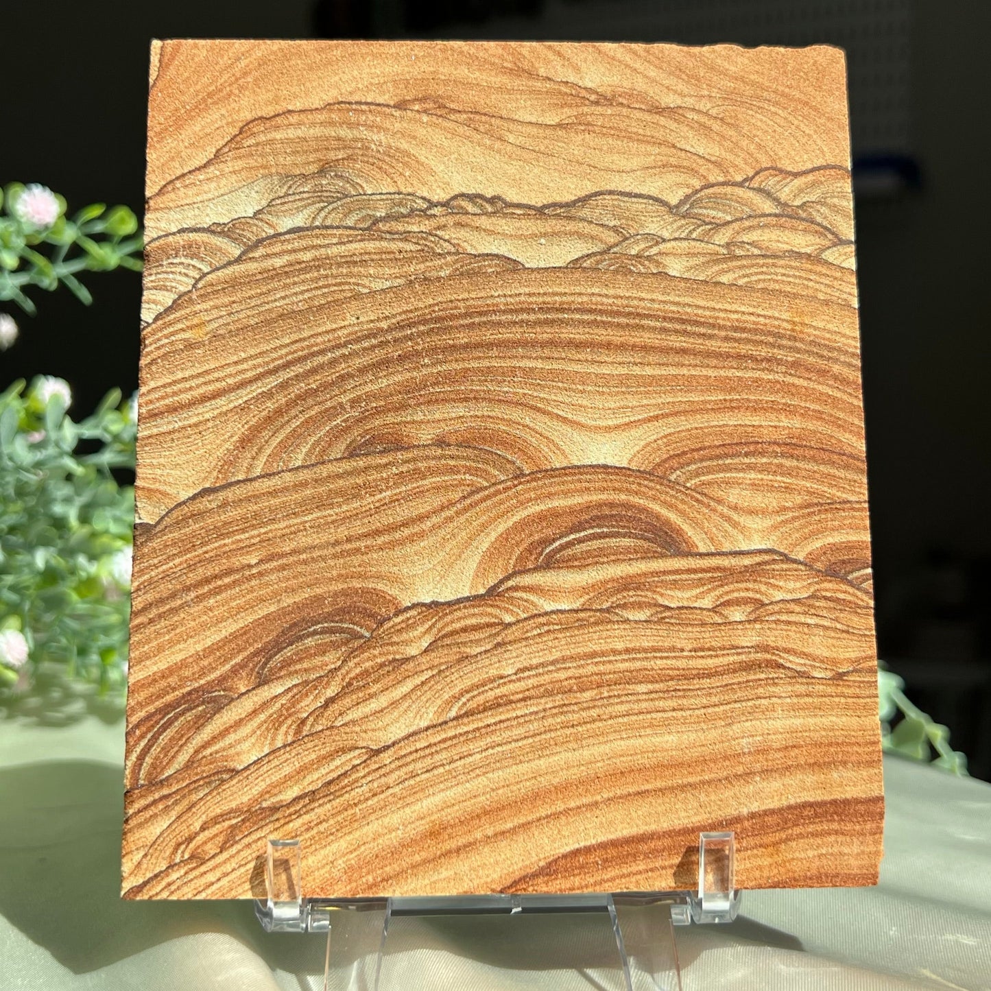 Sandstone Arizona Sierra Slab Picture with a Stand from Utah and Arizona Border