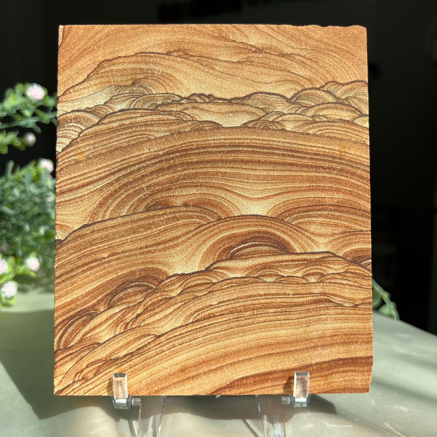 Sandstone Arizona Sierra Slab Picture with a Stand from Utah and Arizona Border