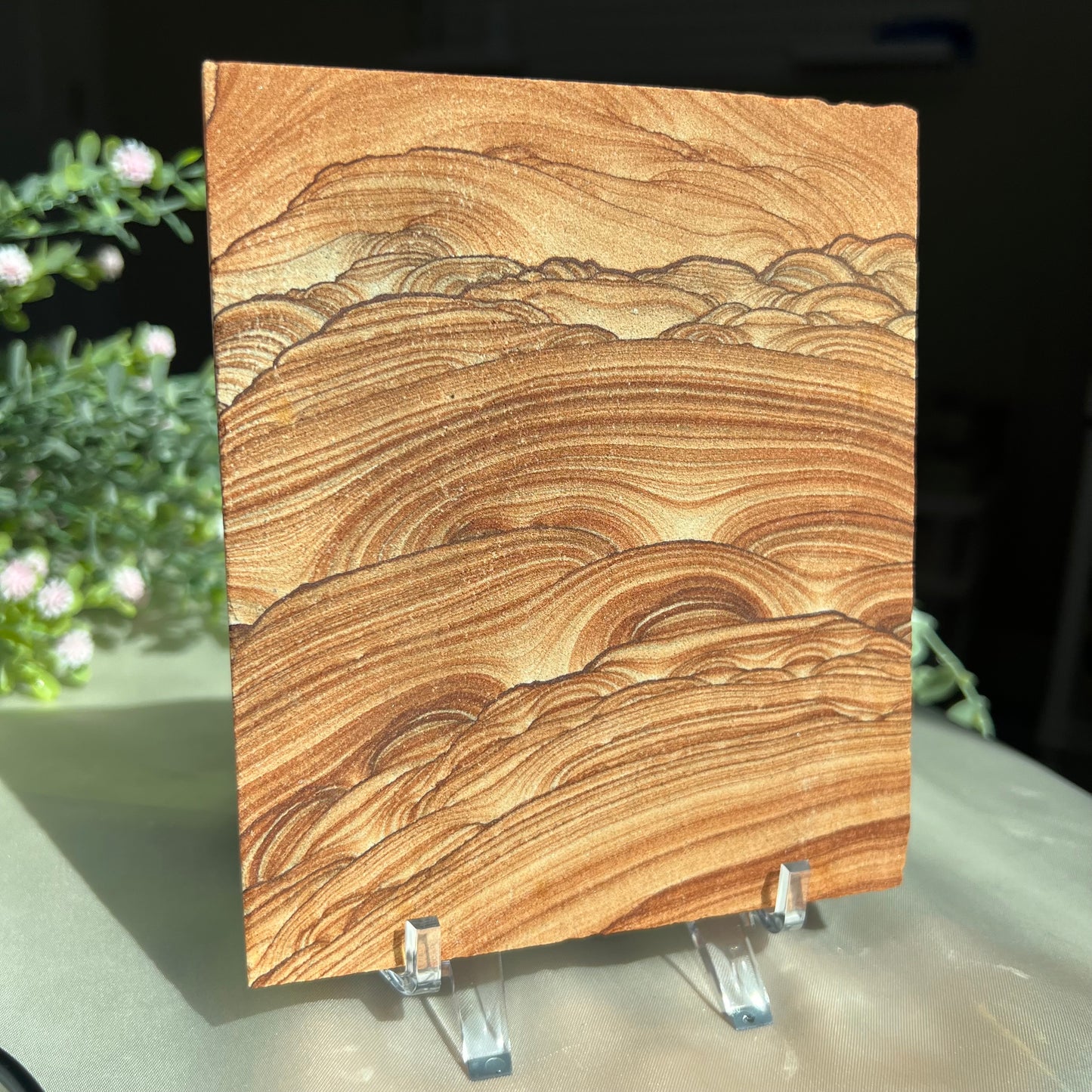 Sandstone Arizona Sierra Slab Picture with a Stand from Utah and Arizona Border