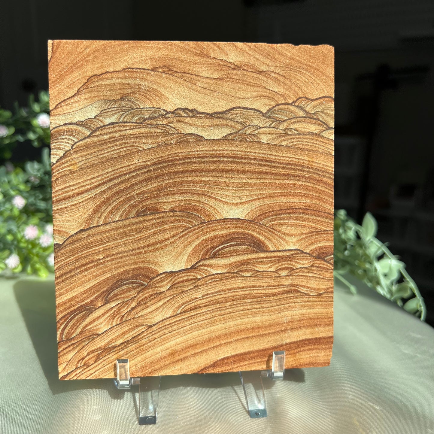 Sandstone Arizona Sierra Slab Picture with a Stand from Utah and Arizona Border