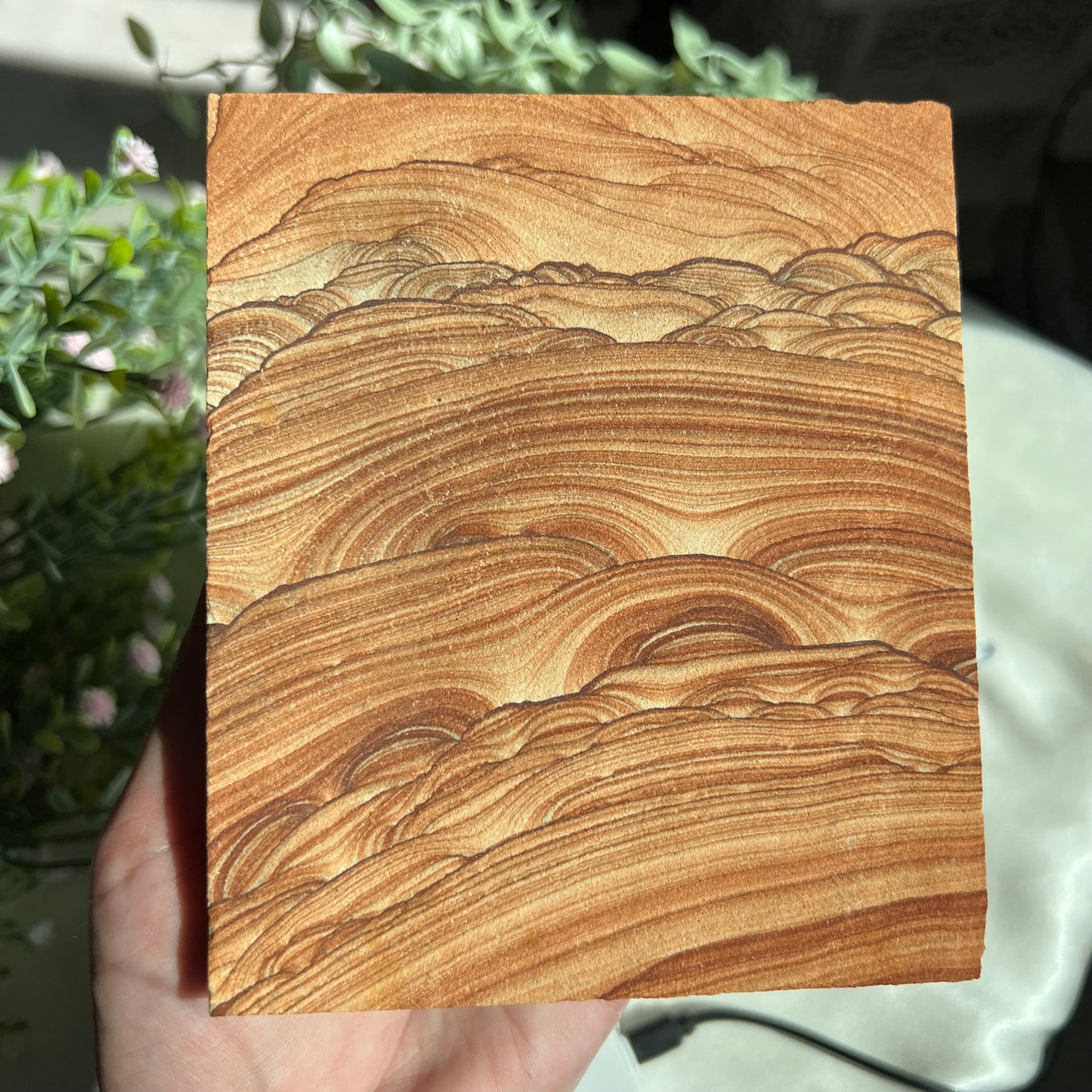 Sandstone Arizona Sierra Slab Picture with a Stand from Utah and Arizona Border