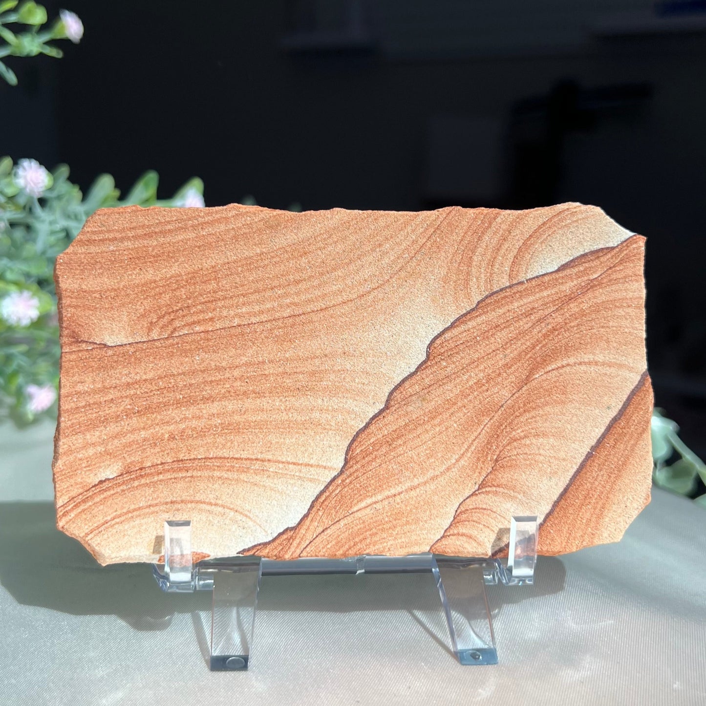 Sandstone Arizona Sierra Slab Picture with a Stand from Utah and Arizona Border